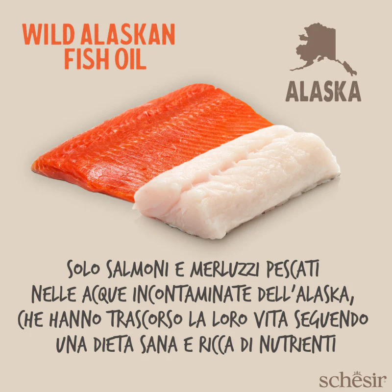 Fish Oil Omega 3 Plus 1000ml - Image 5