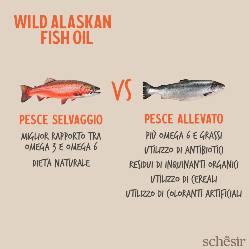 Fish Oil Omega 3 Plus 500ml - Image 4